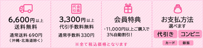 6600円以上で送料無料