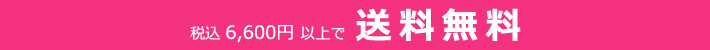 6600円以上で送料無料